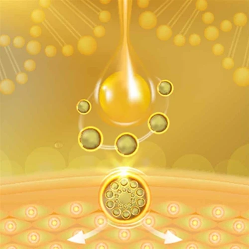 Príomhfheidhmeanna Peptides Lipophilic cosmaideacha
